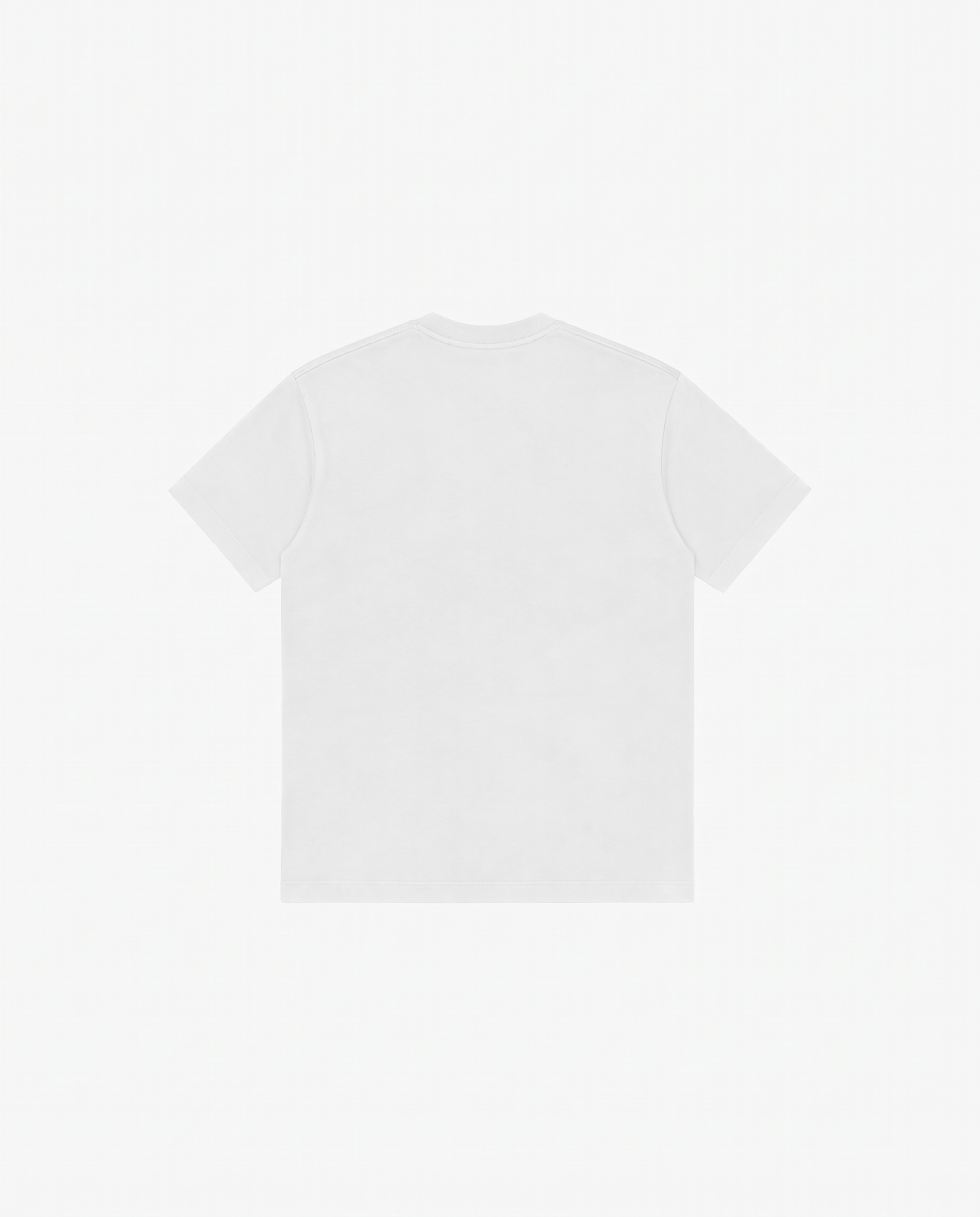 WHITE REGULAR FIT T-SHIRT